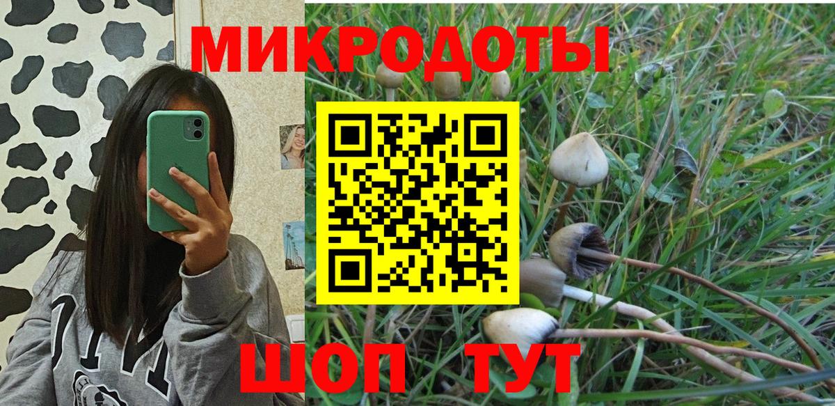 Псилоцибиновые грибы прущие грибы  Вход с VPN  Псилоцибиновые грибы Psilocybine cubensis  Будённовск 